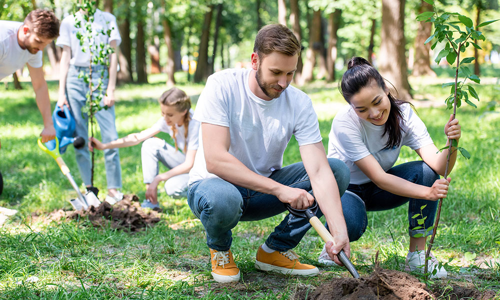 Jóvenes plantando un árbol, como representación de la sensibilización medioambiental